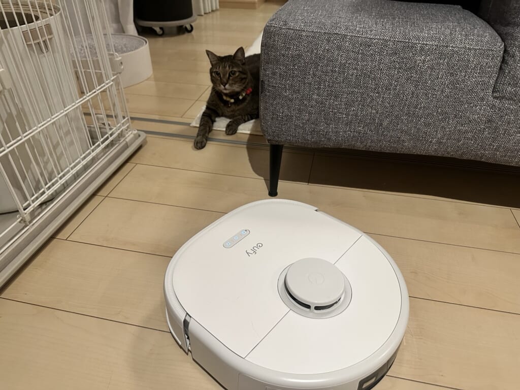 床を掃除する白いロボット掃除機と、ソファのそばで見守るちゃむお